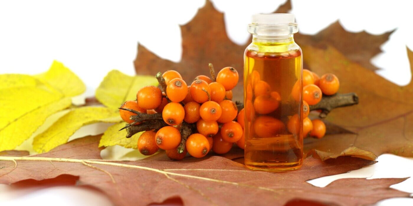Berries of sea-buckthorn berries and medical oil